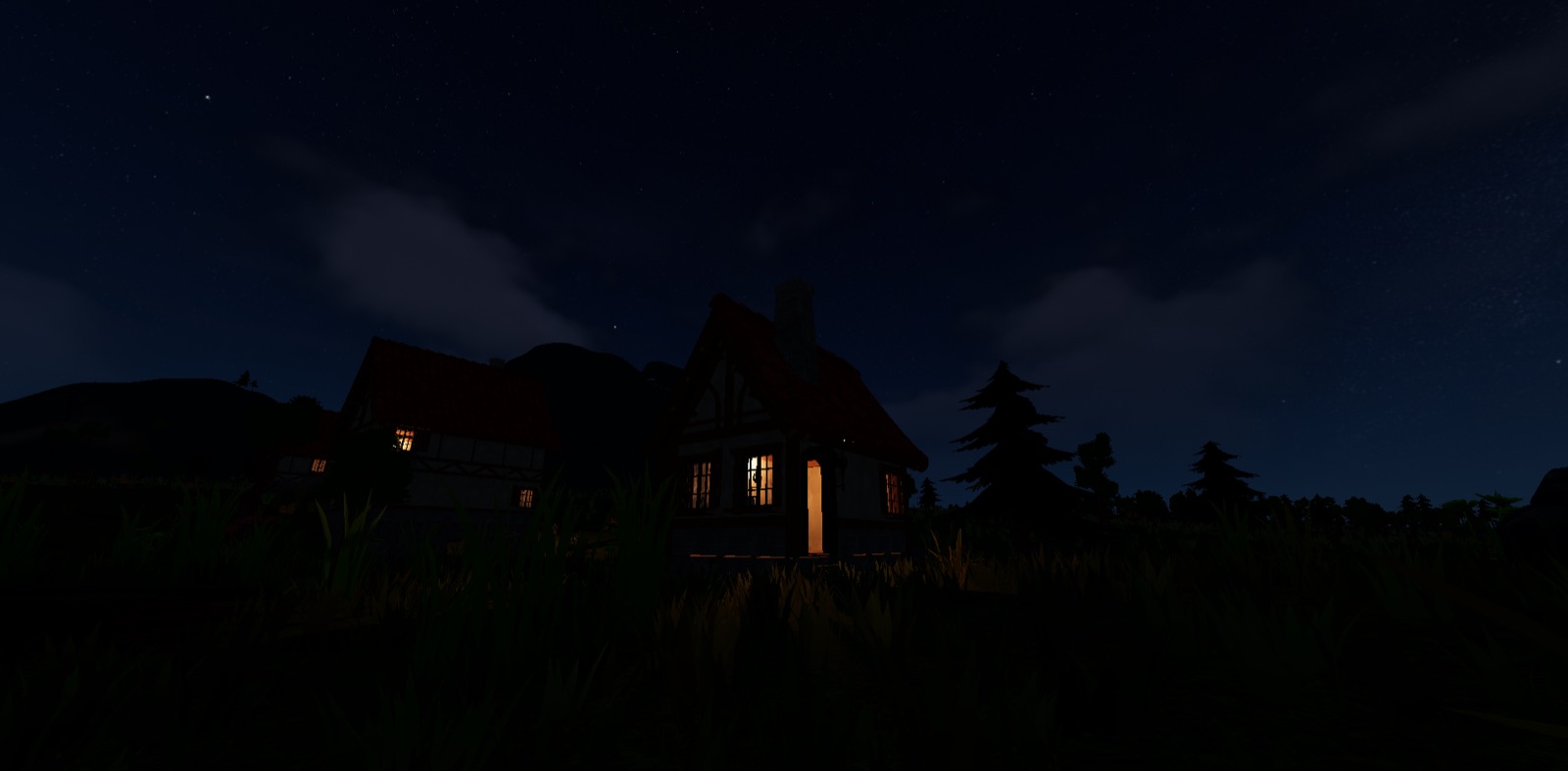 Lit windows in a village under a starry night sky
